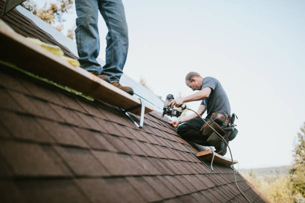 Quick and Trustworthy Emergency Roof Repair Services in Cotati, CA
